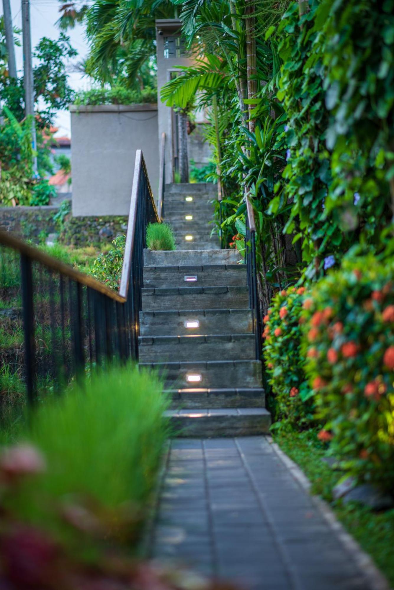 Pangkung Sari Bed And Breakfast Canggu  Exterior photo